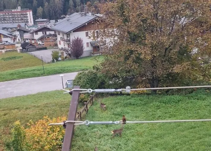Casa vacanze Casa Panastre Pieve di Cadore