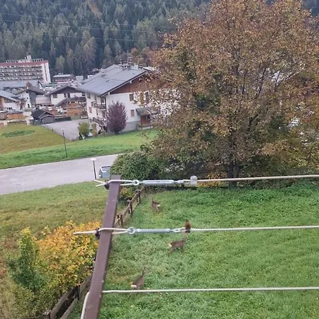 Сasa de vacaciones Casa Panastre Pieve di Cadore